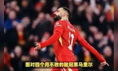 九游体育直播-美国逆转智利，萨拉赫爆发神勇的简单介绍